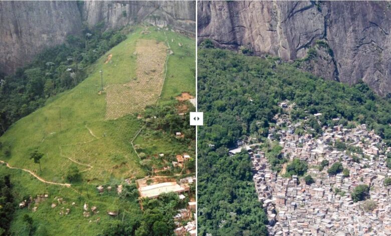 Rio de Janeiro aposta em reflorestamento com pagamento a moradores para recuperar Mata Atlântica