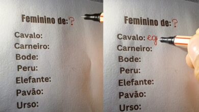 Desvendando a gramática: os femininos de animais que desafiam o português
