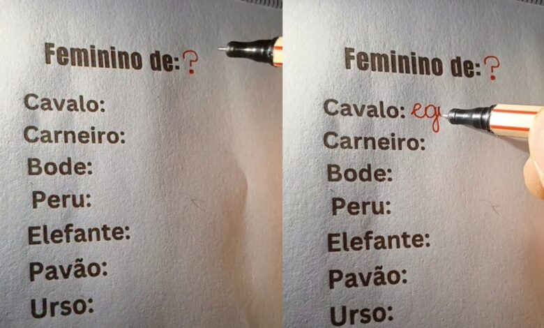 Desvendando a gramática: os femininos de animais que desafiam o português