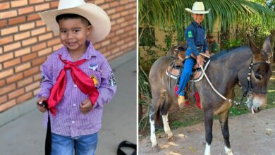 Reencontro emocionante: menino celebra volta de mula perdida na Romaria de Trindade