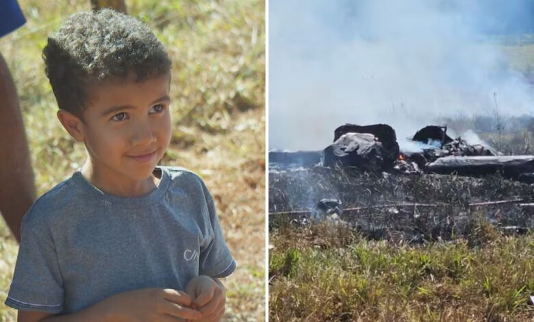 Menino de 5 anos alerta pai sobre queda de avião em fazenda e é chamado de herói em Goiás