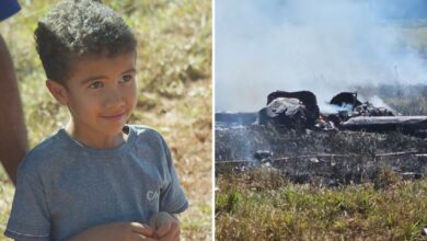Menino de 5 anos alerta pai sobre queda de avião em fazenda e é chamado de herói em Goiás