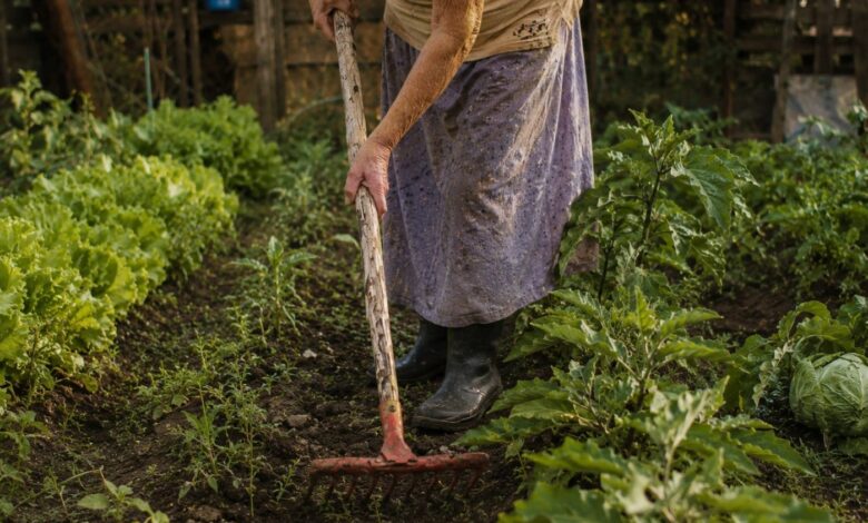 Justiça garante posse de terra a agricultora após três décadas de espera