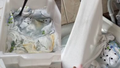 Mistura caseira promete adeus definitivo às manchas em panos de prato