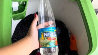 Vinagre nas roupas: o segredo caseiro para peças mais macias e livres de odores