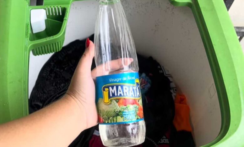 Vinagre nas roupas: o segredo caseiro para peças mais macias e livres de odores