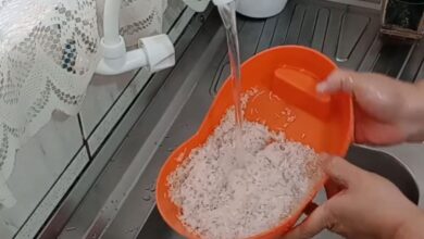 Arroz lavado: a ciência por trás do hábito culinário e seus impactos na textura