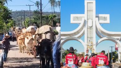 Fé e tradição: carreiros de Goiás iniciam longa jornada de carros de boi para Trindade