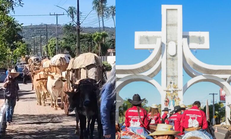 Fé e tradição: carreiros de Goiás iniciam longa jornada de carros de boi para Trindade