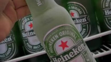 Cerveja e chope: fabricantes explicam a diferença que vai além do sabor