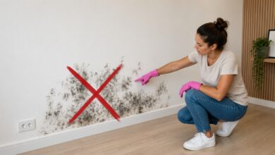 Mofo na parede: descubra a receita caseira que remove o bolor sem cloro e cheiro forte
