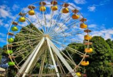 Férias de julho em Goiânia: opções acessíveis para entreter as crianças na cidade