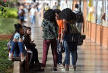 Empregabilidade em 2026: ranking aponta cursos de graduação com maior inserção no mercado brasileiro