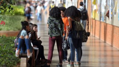 Empregabilidade em 2026: ranking aponta cursos de graduação com maior inserção no mercado brasileiro