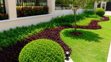 Plantas de forração reinventam jardins: a tendência que une beleza e baixa manutenção