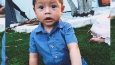 Criança de 2 anos morre após ser esquecida em carro sob forte calor na Flórida