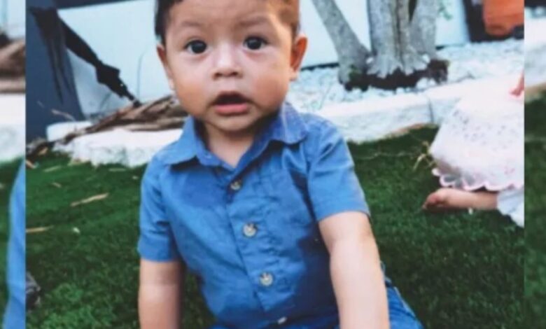 Criança de 2 anos morre após ser esquecida em carro sob forte calor na Flórida