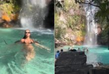 Encontro inesperado: cobra desliza perto de turista em cachoeira da Chapada dos Veadeiros e diverte internautas