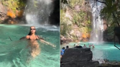 Encontro inesperado: cobra desliza perto de turista em cachoeira da Chapada dos Veadeiros e diverte internautas