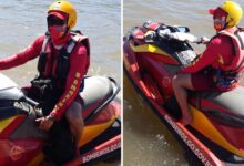 Resgate heroico no Rio Araguaia: Bombeiros de Goiás salvam cachorro à deriva durante patrulhamento