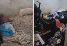 Resgate em Aparecida de Goiânia revela irmãos e bebê vivendo em quarto insalubre