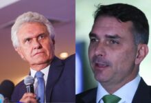 Caiado critica Flávio Bolsonaro por proposta de adiar tarifaço para depois das eleições