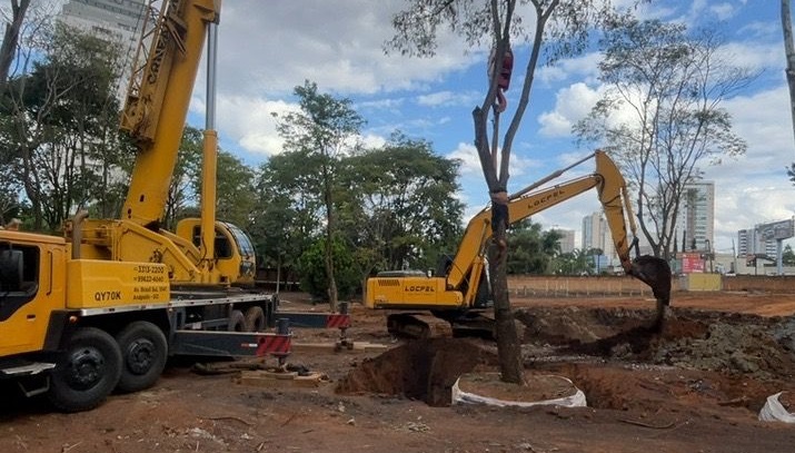 Transplante de árvores históricas em Anápolis: Emisa preserva 39 espécies em obra