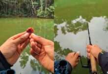 Goiabada isca: o segredo doce que revoluciona a pescaria de água doce