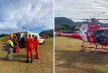 Picada de cobra em Cavalcante: criança de 4 anos é transferida para UTI em Brasília