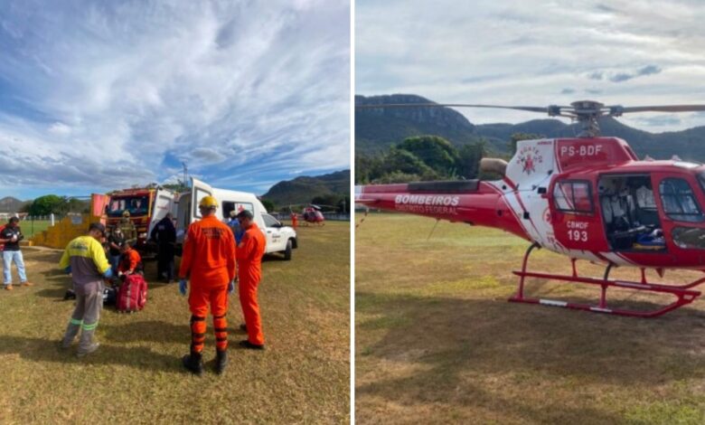 Picada de cobra em Cavalcante: criança de 4 anos é transferida para UTI em Brasília