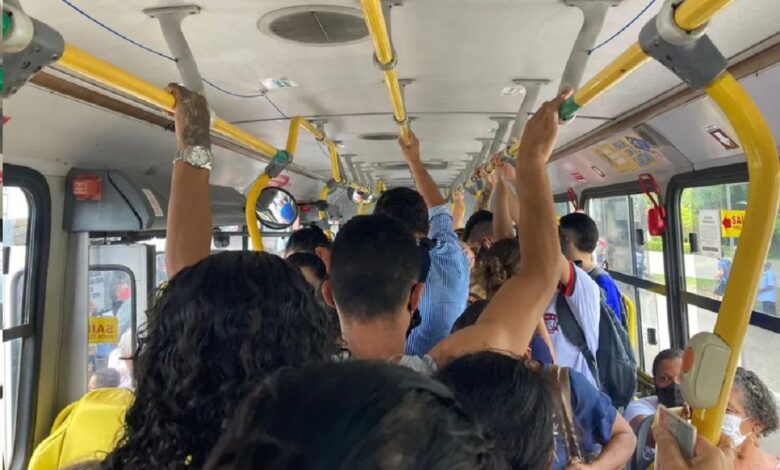 Gratuidade de passagem para crianças: entenda as regras e a documentação exigida no transporte público
