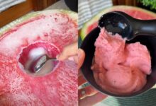 Sorvete de melancia: a sobremesa de dois ingredientes que refresca os dias quentes