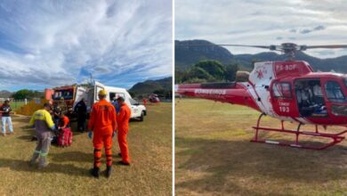 Picada de jararaca em Goiás: menina de 4 anos da comunidade Kalunga é internada em UTI de Brasília