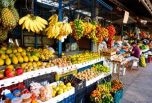 Dona Maria revela segredos para escolher frutas frescas pela casca e evitar o desperdício
