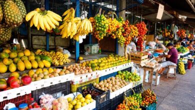 Dona Maria revela segredos para escolher frutas frescas pela casca e evitar o desperdício