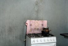 Especialistas ensinam a remover manchas de gordura da parede e manter a pintura intacta