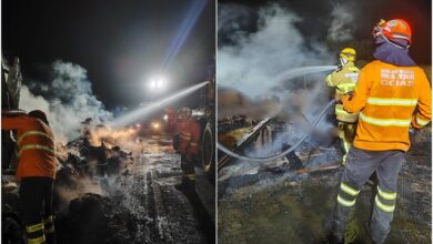 Incêndio em carreta na Go-112 deixa mais de 50 bezerros mortos em Nova Roma