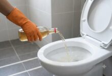 Vinagre no vaso sanitário: descubra por que a aplicação semanal é recomendada e seus limites