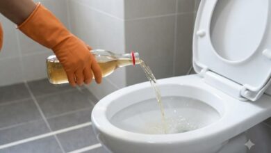 Vinagre no vaso sanitário: descubra por que a aplicação semanal é recomendada e seus limites