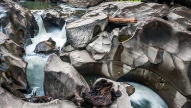 Alto Paraíso de Goiás: explore cachoeiras, trilhas e o misticismo da Chapada dos Veadeiros