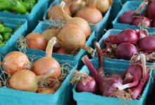 Cebola branca ou roxa: entenda as diferenças e como escolher a melhor opção para sua cozinha