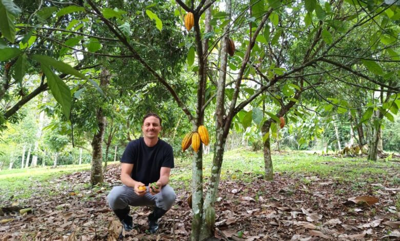 Transformação verde: produtor familiar abandona agrotóxicos e alcança 20 toneladas de banana por safra