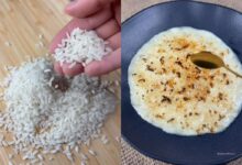 Arroz-doce cremoso e elegante: Masterchef revela o segredo do grão ideal para a sobremesa