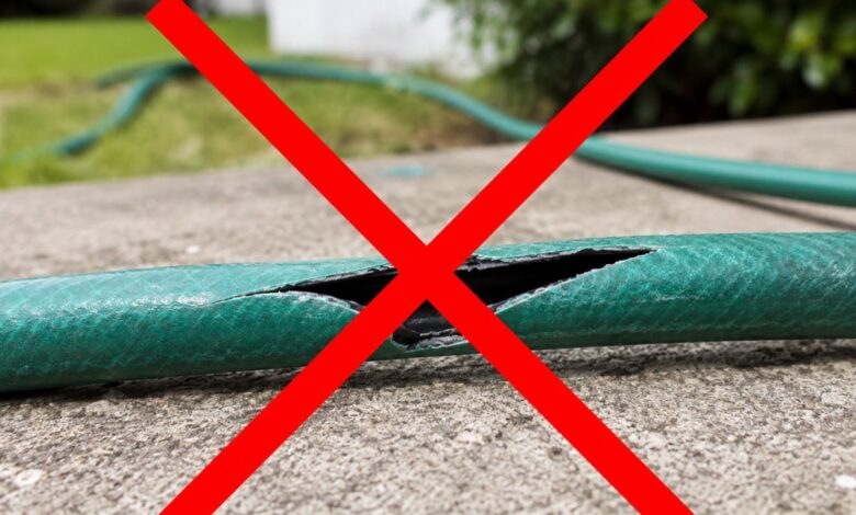 Jardineiros apostam em mangueira resistente e barata para 2026, com material inovador e leve