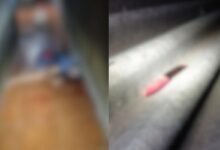 Briga entre irmãos termina em homicídio no Jardim Caravelas em Goiânia