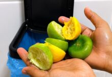 Casca de limão: o truque doméstico sustentável para brilho e economia
