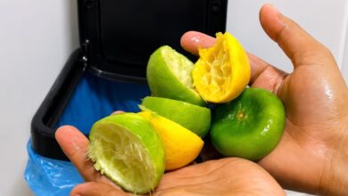 Casca de limão: o truque doméstico sustentável para brilho e economia