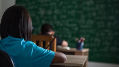 Educação política e cidadania: nova lei torna temas obrigatórios no currículo escolar