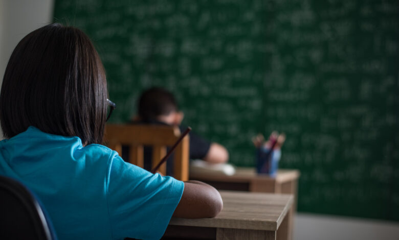 Educação política e cidadania: nova lei torna temas obrigatórios no currículo escolar