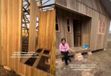 Casas pré-fabricadas de madeira: a ascensão de uma alternativa econômica e rápida na construção civil